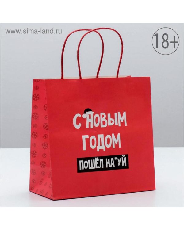 Пакет подарочный «С Новым годом», 22 × 22 × 11 см 4865435
