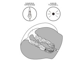 Двойной мастурбатор Streetgirl's #12 LV352032-foto4