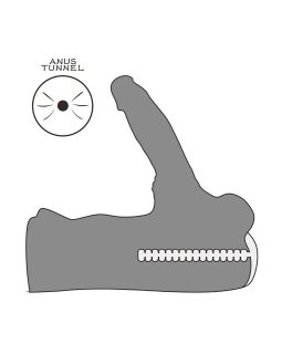 Мастурбатор с фаллоимитатором Streetgirl's #15 LV352072-foto5