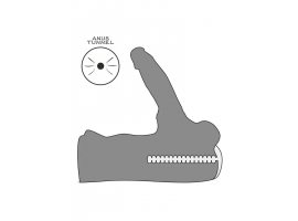 Мастурбатор с фаллоимитатором Streetgirl's #15 LV352072-foto5