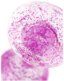 Анальная втулка TOYFA, акрил, фиолетовый, 8 см, Ø 2,8 см881305-4-foto4