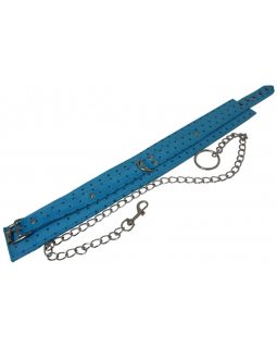 Ошейник с поводком NCR-10 LT-foto2