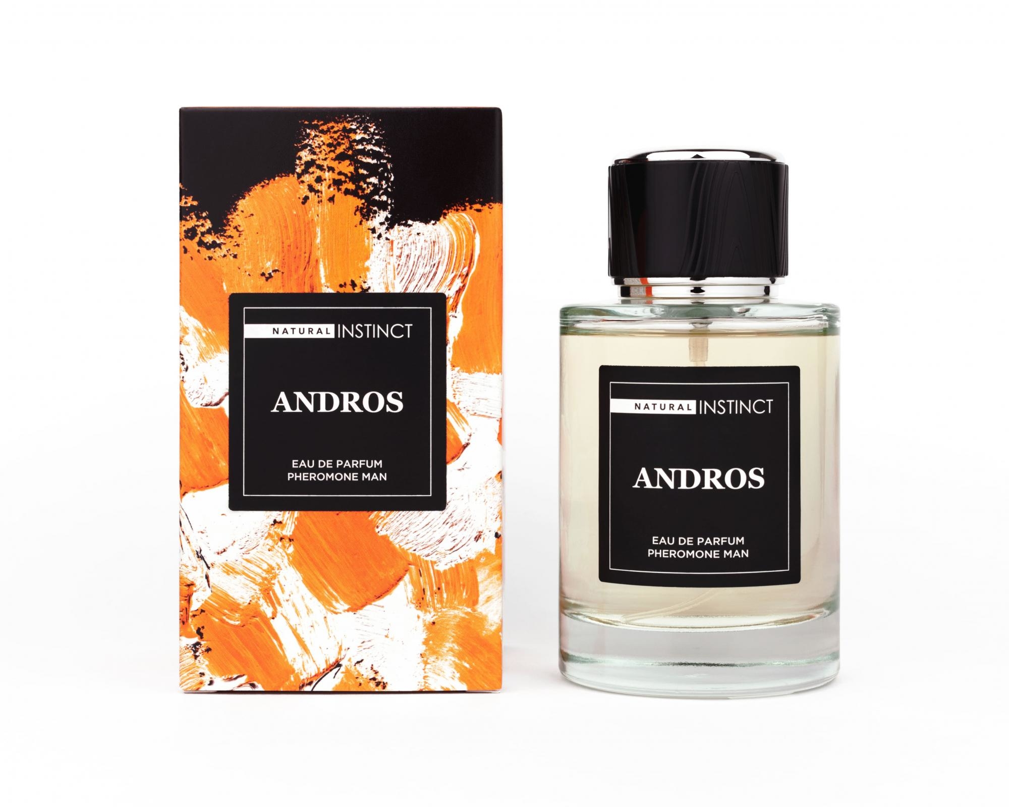 Мужская парфюмерная вода Natural Instinct Andros 100 мл арт.5700