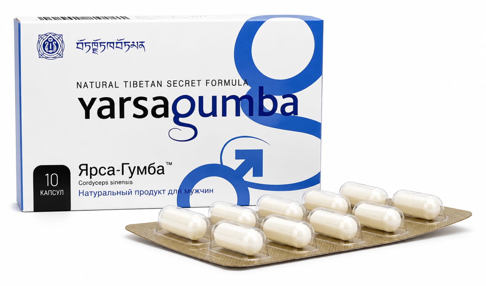 Ярса-Гумба в синей упаковке (10 кап/блистер) цена за 1капс