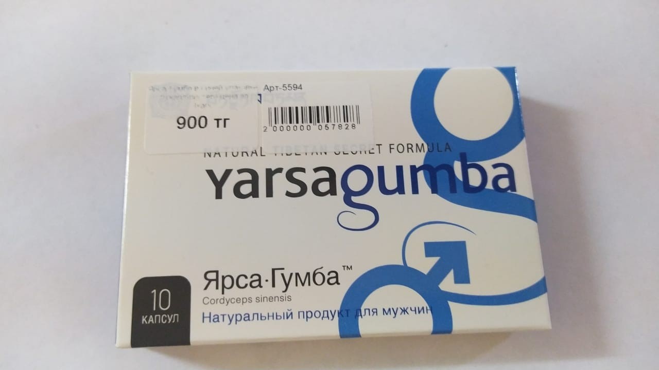 Ярса-Гумба в синей упаковке (10 кап/блистер) цена за 1капс